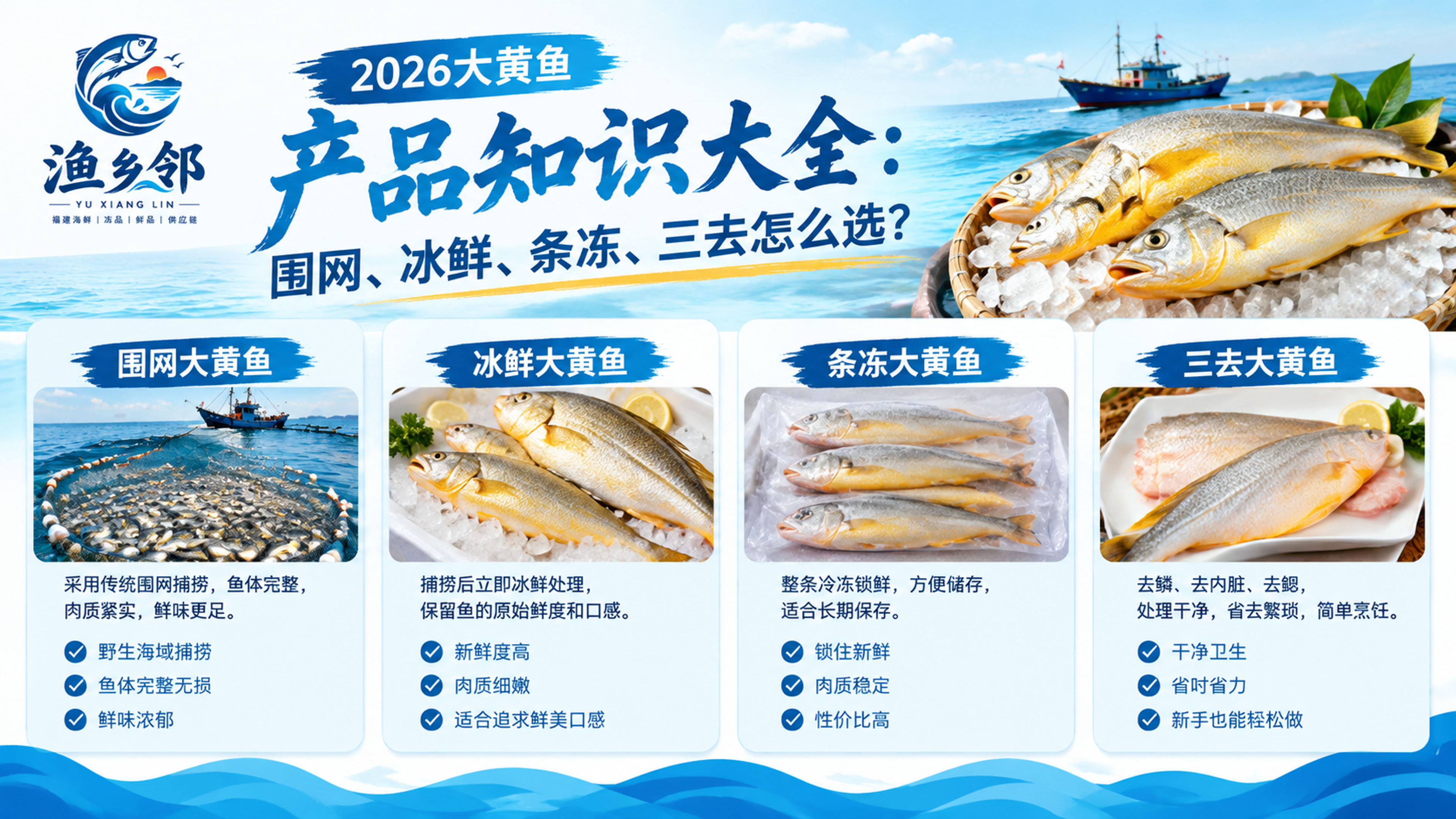 2026大黄鱼产品知识大全：围网、冰鲜、条冻、三去怎么选？